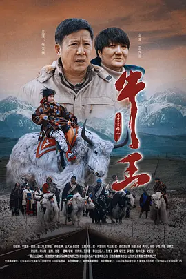 视频福利一区