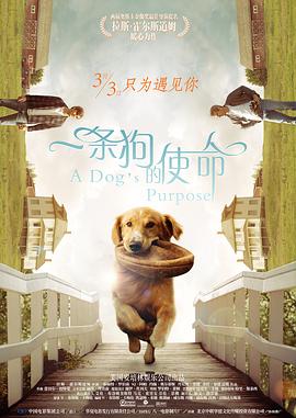 九九热在线观看视频