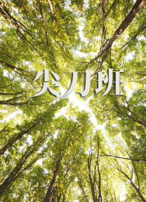 青青草草视频