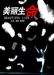 出轨的女人2