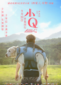 国产hs免费高清在线观看