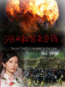 亚洲激情视频在线观看