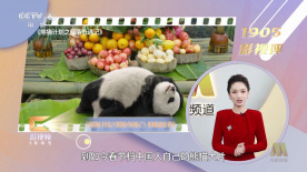 印度成人av在线播放