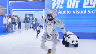国产69久久精品成人看